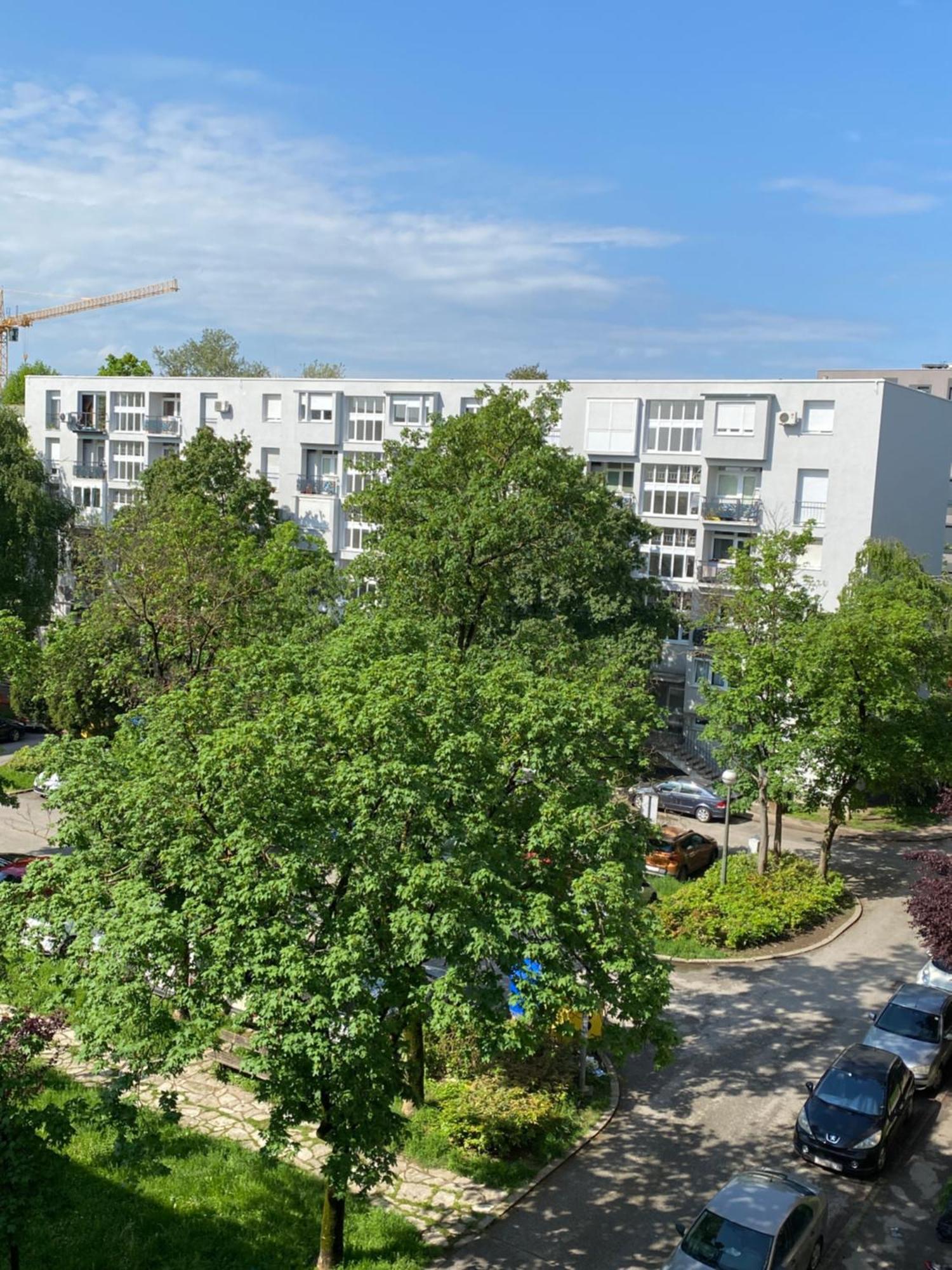 Colorful Urban Oasis Lejlighed Zagreb Eksteriør billede